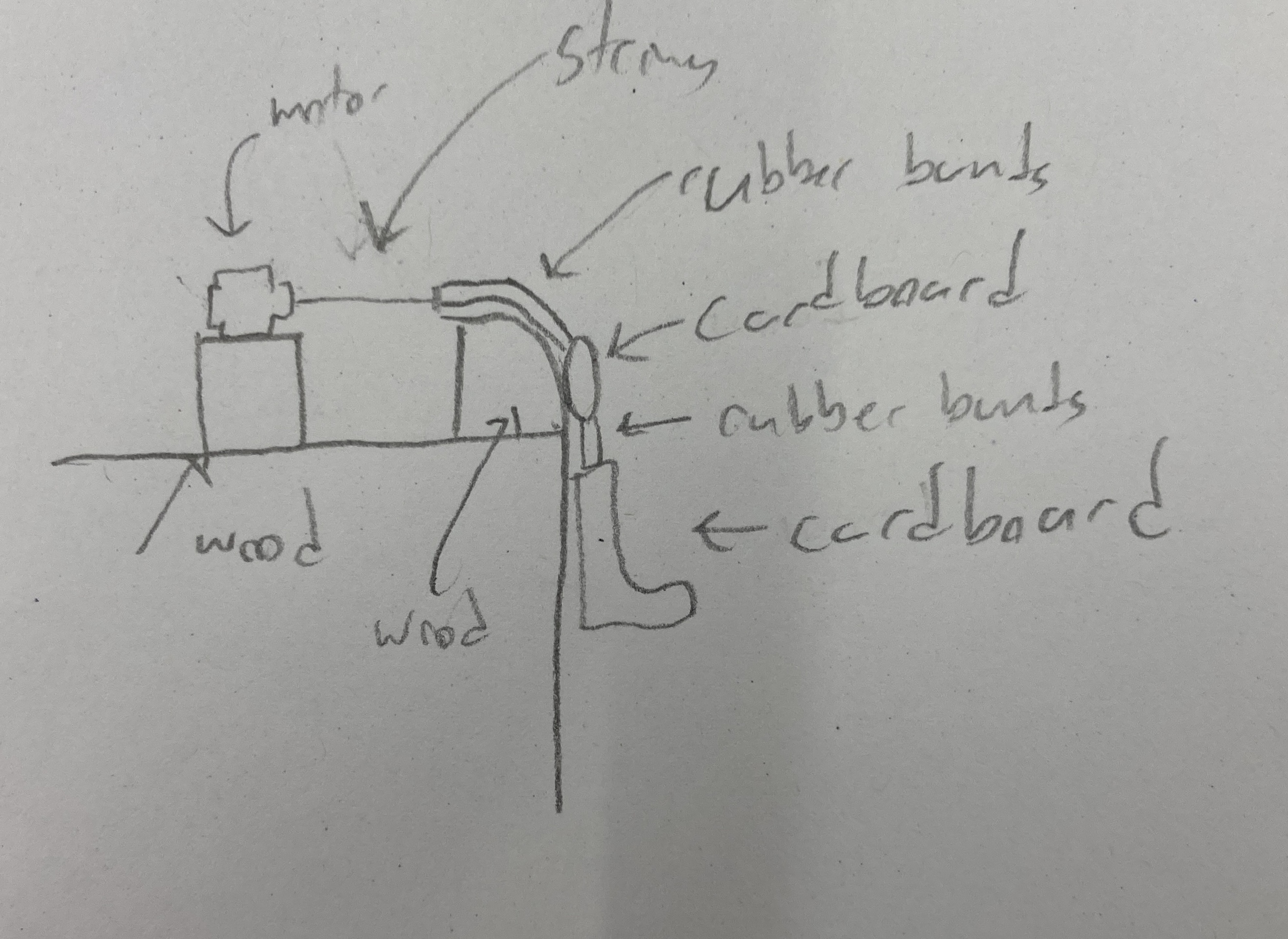 knee diagram